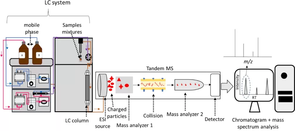 Liquid chromatography-tandem mass spectrometry LC-MS/MS principles for metabolomics analysis